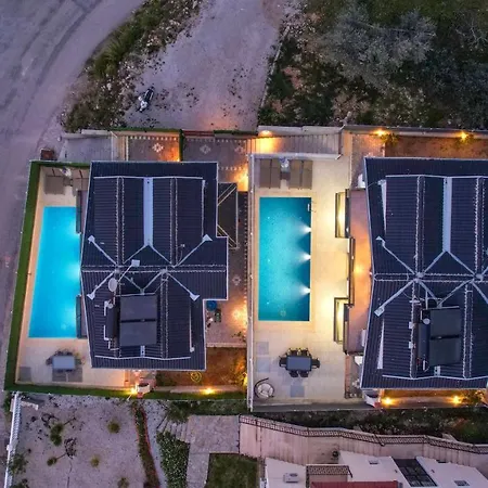 Muzi 2 Fethiye